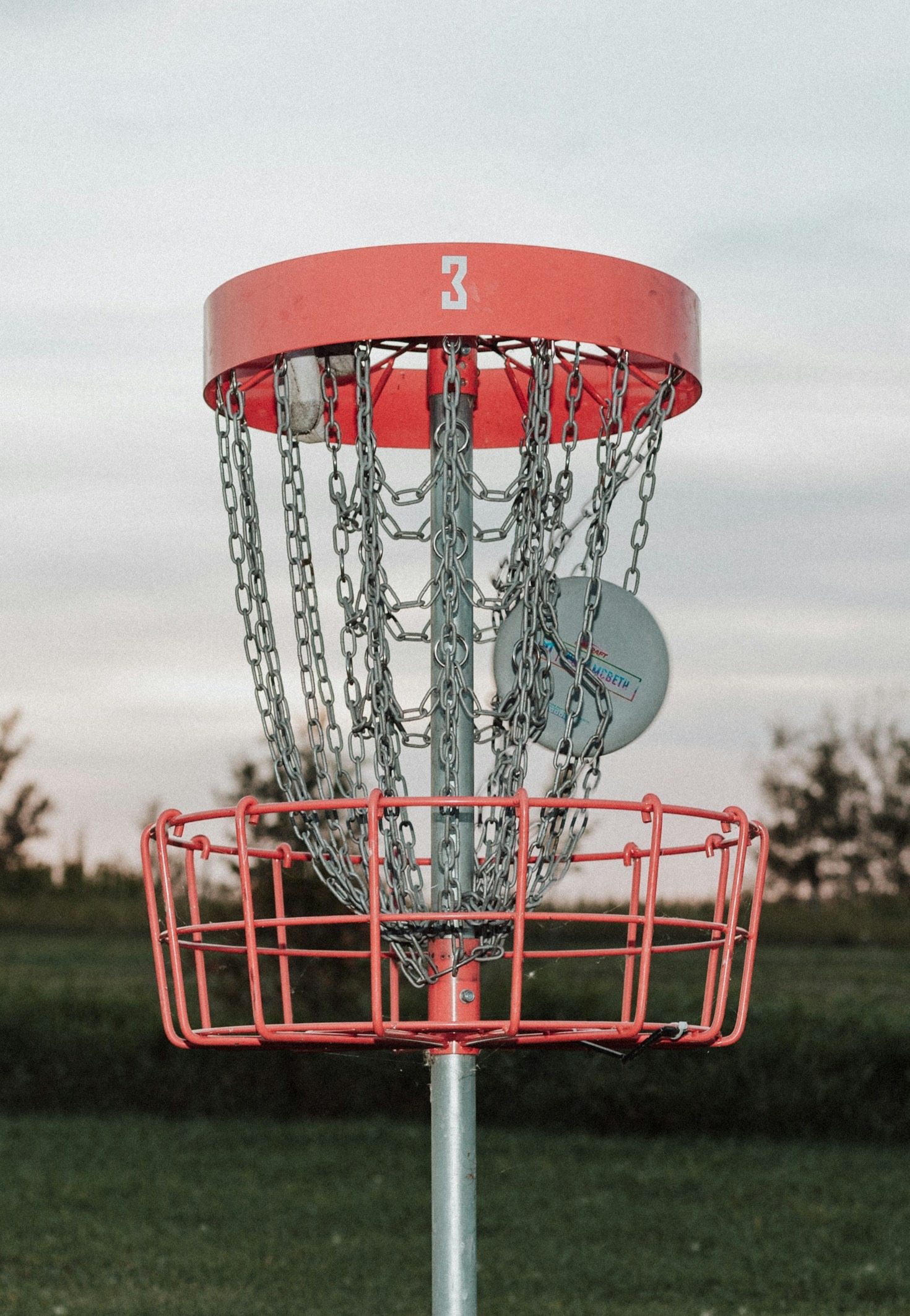 Tips for Beginners: Starting Your Disc Golf Journey